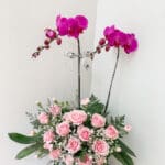 2 Orchid Ungu