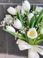 Fresh 20 Classic Tulip & BB - Image 3