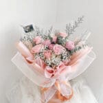 20 Rose Pom