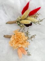 Dried Crimson Bunny Tail - Image 2