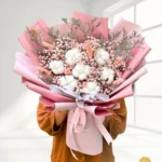 Dried Alona (Klik Untuk Lihat Warna)