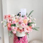 Enchanted 20cm