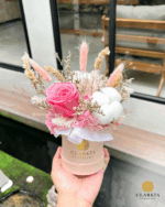 Dried Everly Box (Klik Untuk Lihat Warna) - Image 4