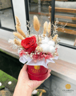 Dried Everly Box (Klik Untuk Lihat Warna)