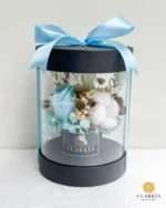 Celine Box (Klik Untuk Lihat Warna) - Image 9