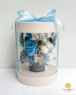 Celine Box (Klik Untuk Lihat Warna) - Image 11