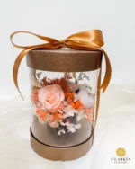 Celine Box (Klik Untuk Lihat Warna) - Image 5