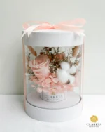 Celine Box (Klik Untuk Lihat Warna) - Image 10