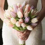 Fresh 30 Tulip