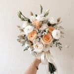 Peachy Dreams