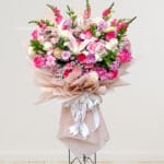 Pink Lily Standing