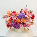 Sunset Tulip 20cm