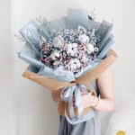 Alona Mix