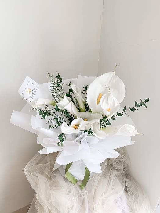 Calla Lily