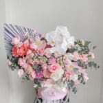 20cm Orchid Bloombox Pastel