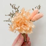 Dried Rustic Peach