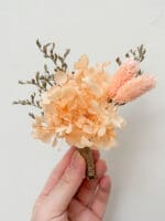 Dried Rustic Peach