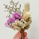 Dried Serene Statice